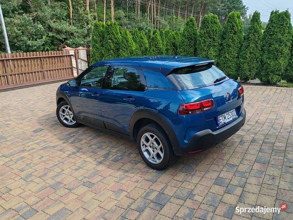 Citroen C4 Cactus Kolonia Zawada