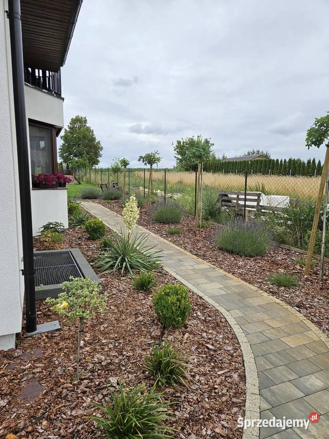 Zakładanie pielęgnacja ogrodu Bydgoszcz