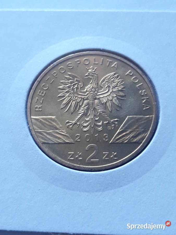 2 Żubr2013 rUNC Konin