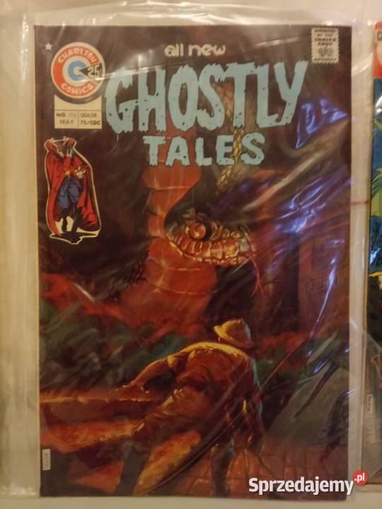 Komiksy Charlton stany brązowa era USA Warszawa