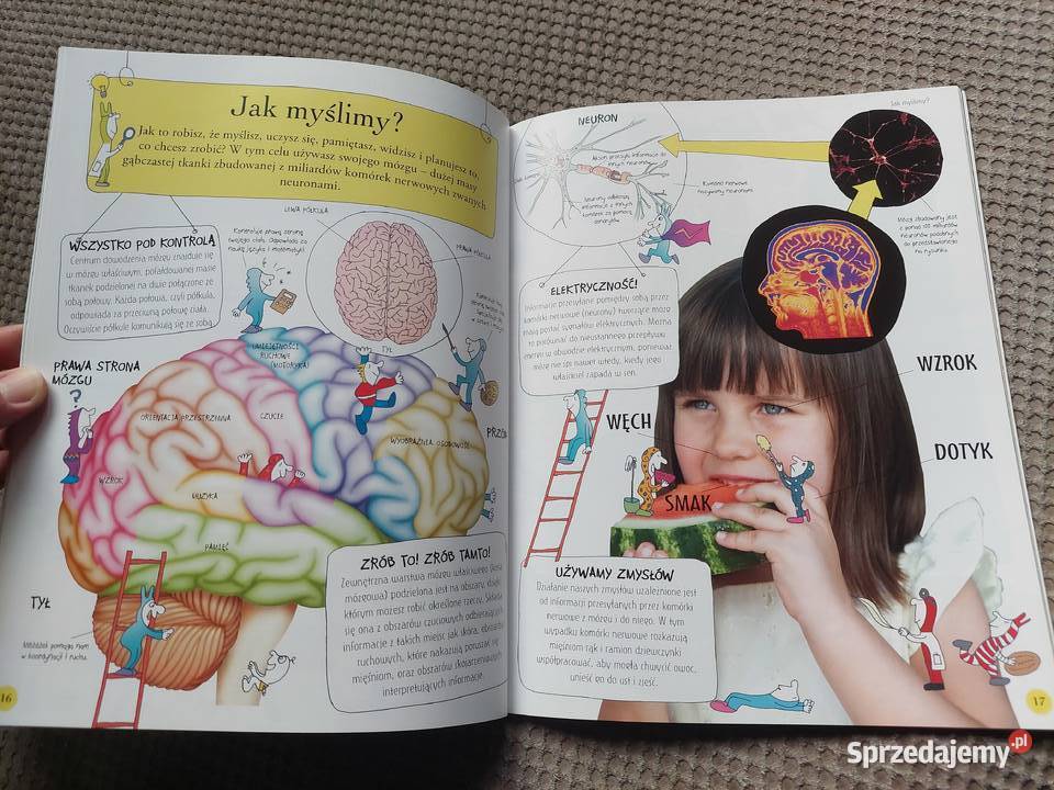 National Geographic Małe Mózgofalki poznają