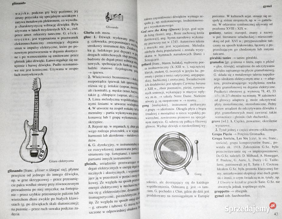 Muzyka Słownik Szkolny Irena Poniatowska twarda Chełm sprzedam