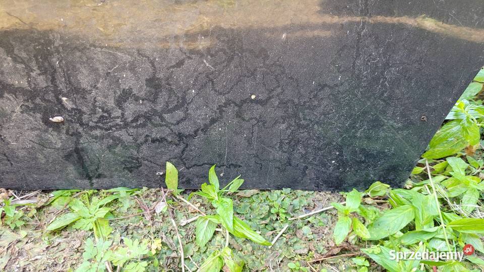 Drzwi Citroen C5 I Łagów sprzedam