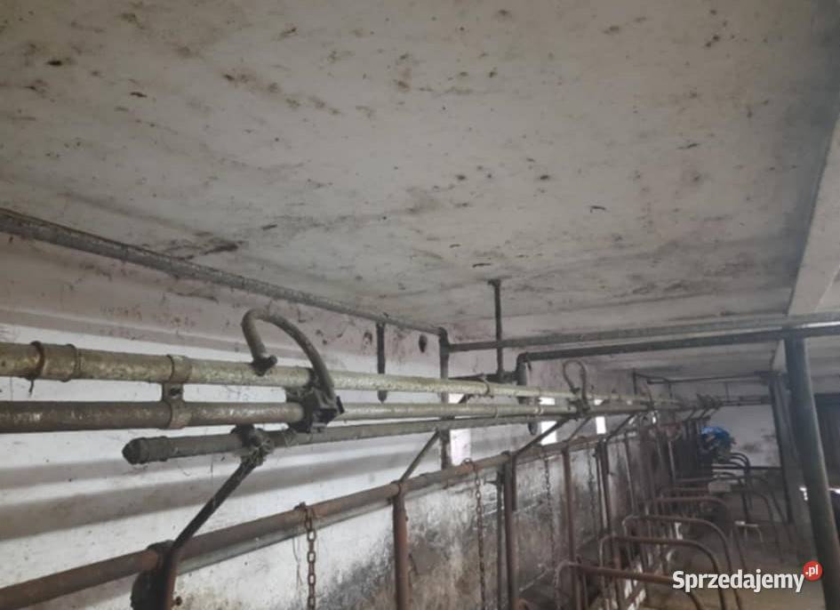 Sprzedam dojarkę bezprzewodową Bagienice