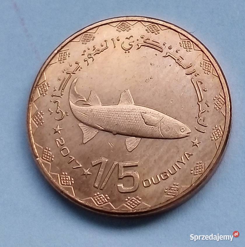 MAURETANIA15 OUGUIYA2018 rŁADNARYBA Legionowo