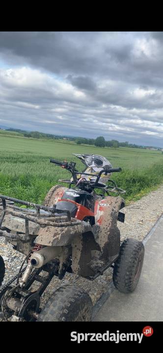 Quad kingway 125 Jedlicze sprzedam
