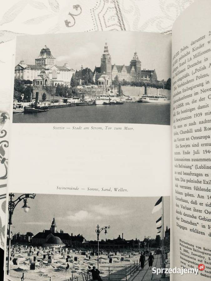 3780 Pomorska Pasja zachodniopomorskie Szczecin sprzedam