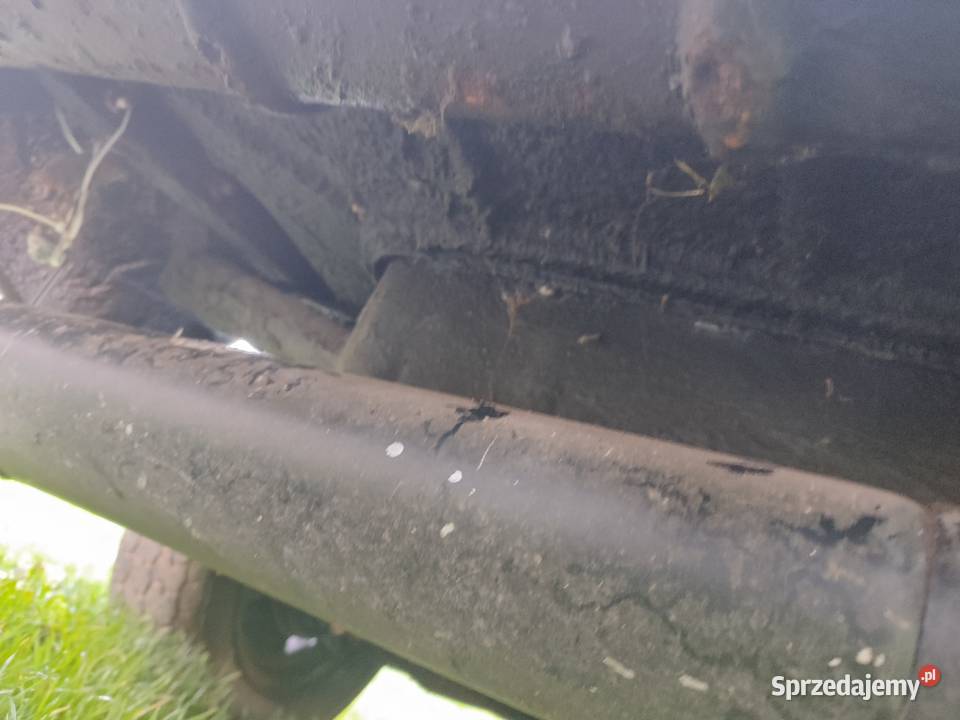 Volvo pv 544 B18 Wołów