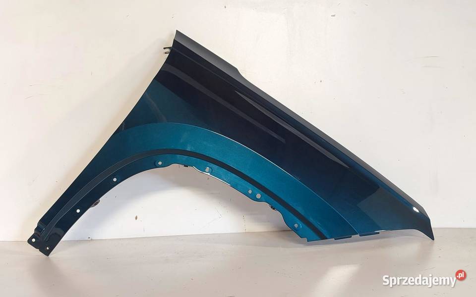 VW TAYRON BŁOTNIK PRAWY PRZÓD 2025 LP5J osobowe dolnośląskie