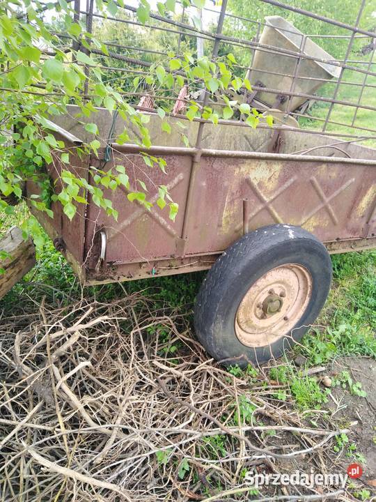 Dwukolowka z kiprem Słupca sprzedam