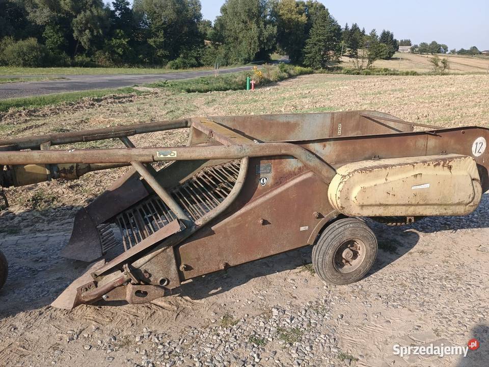 Kopaczka elewatorowa dwurzędowa do ziemniaków lubelskie Izbica