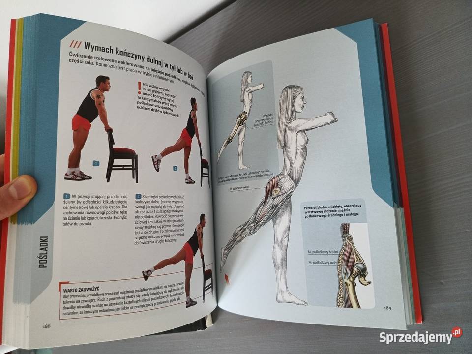 Zestaw 3 książki fitness Modelowanie sylwetki Tczew