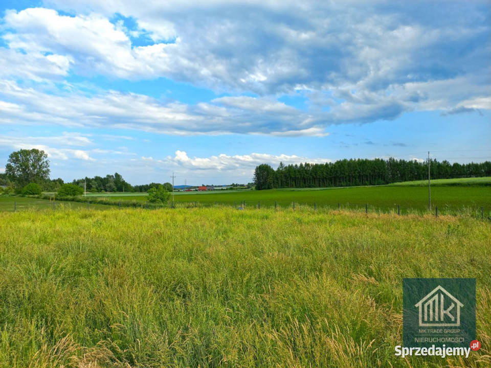 Grunt do sprzedania 1000m2 Dąbrowa sprzedam