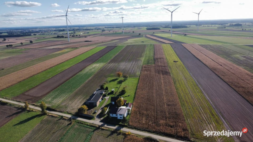 Nieruchomość na sprzedaż Liczba pokoi 5 Sulmierzyce