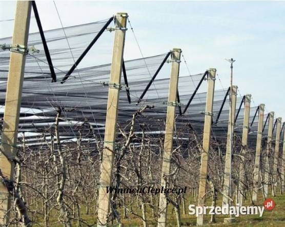 Kotwa ocynk 14x 80 do sadu winnicy dolnośląskie Pławna Dolna