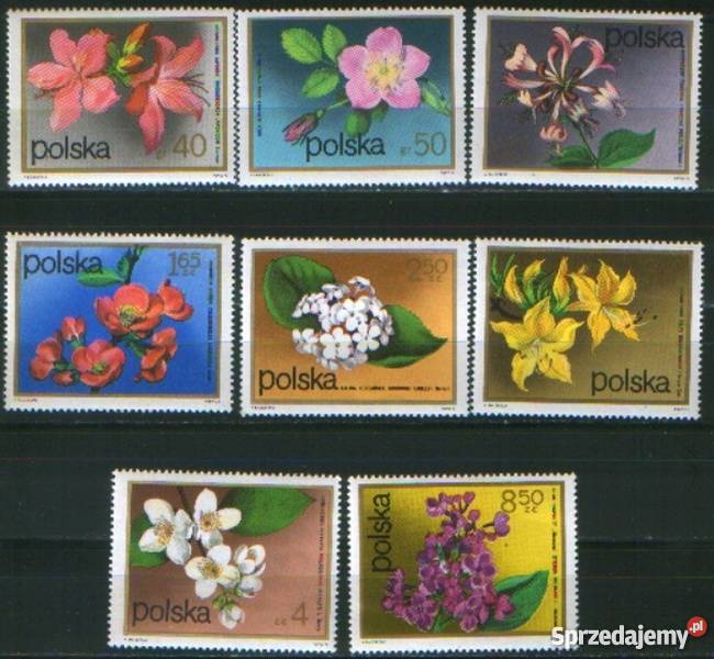 Zn Fi 2067 74 1972 Gliwice sprzedam