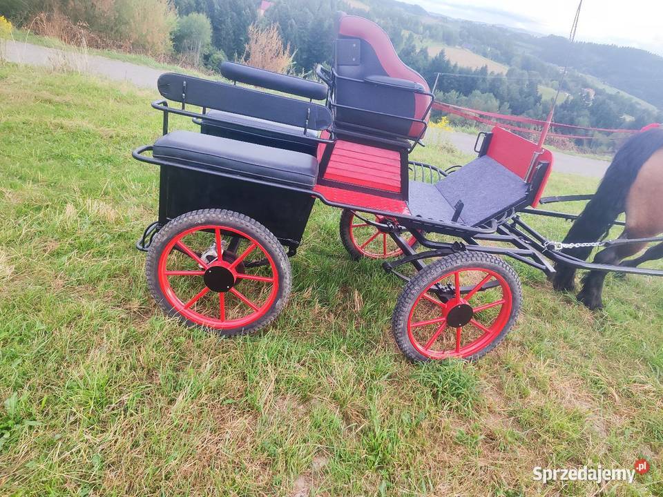 Sprzedam Bryczke wagonetke Łęka