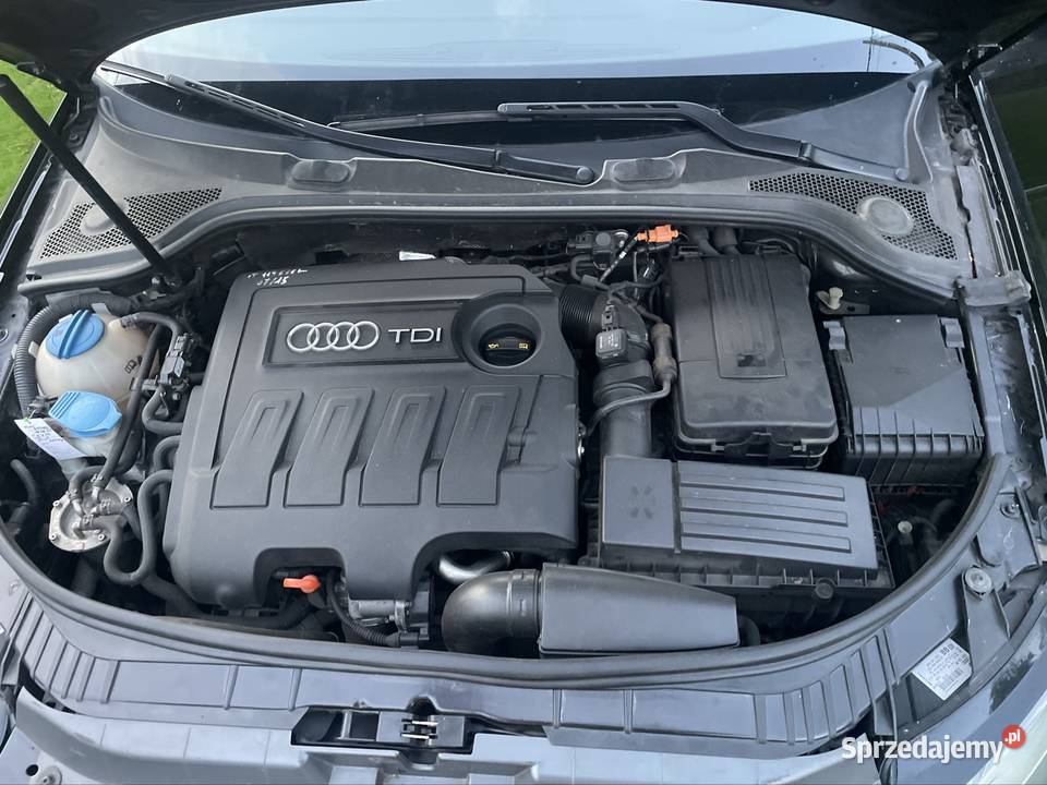 Audi A3 8P 2010r 16TDI Kalisz