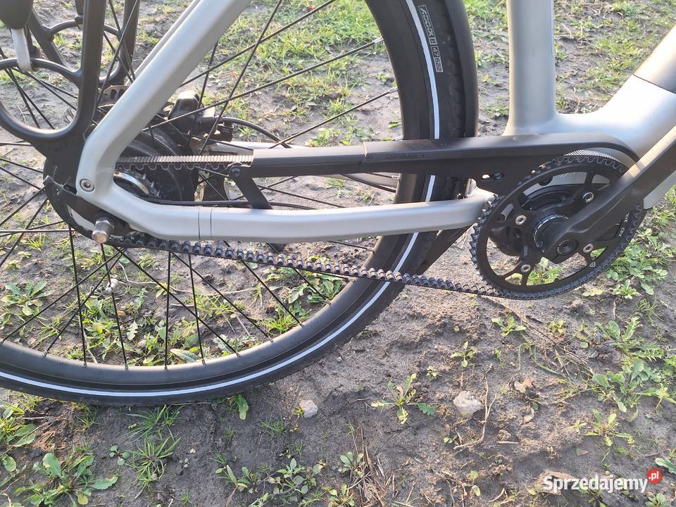 Rower elektryczny zasięg 250 Samorządki