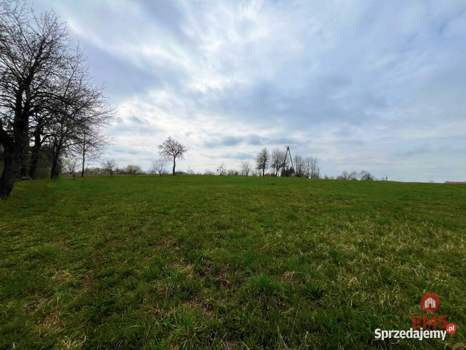 Grunt 5350m2 Nowe Aleksandrowo asfalt