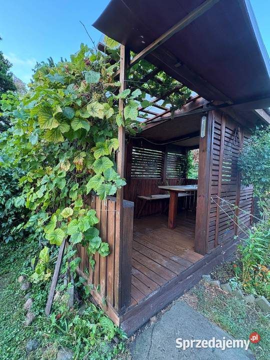 Działka ROD Mokotów Aleja Niepodległości 113115 rekreacyjna mazowieckie Warszawa