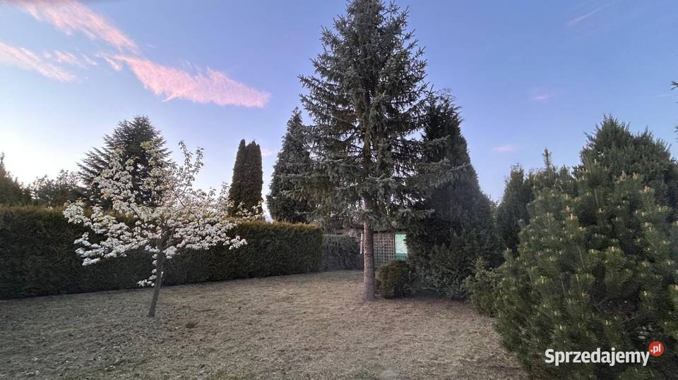 Sprzedam ogródek działkowy obok Parku Śląskiego Sprzedaż sprzedam