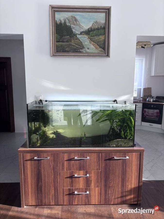 Akwarium 240L zestaw Bydgoszcz