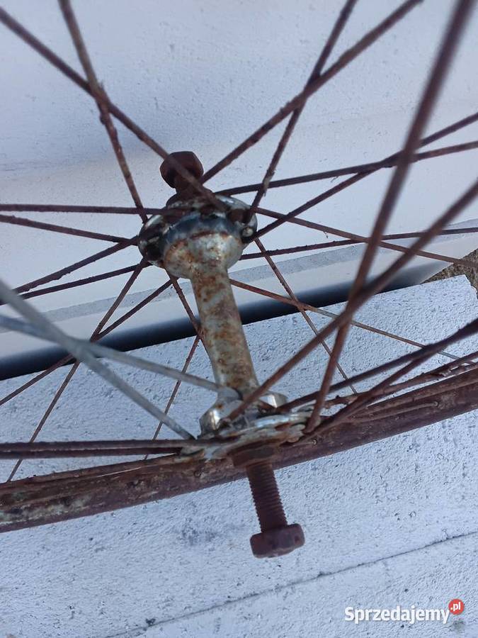 Koło zabytkowy rower 5