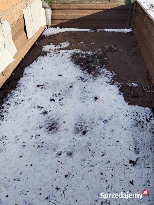 Przyczepa wywrotka Dmc16 t Małomierzyce sprzedam