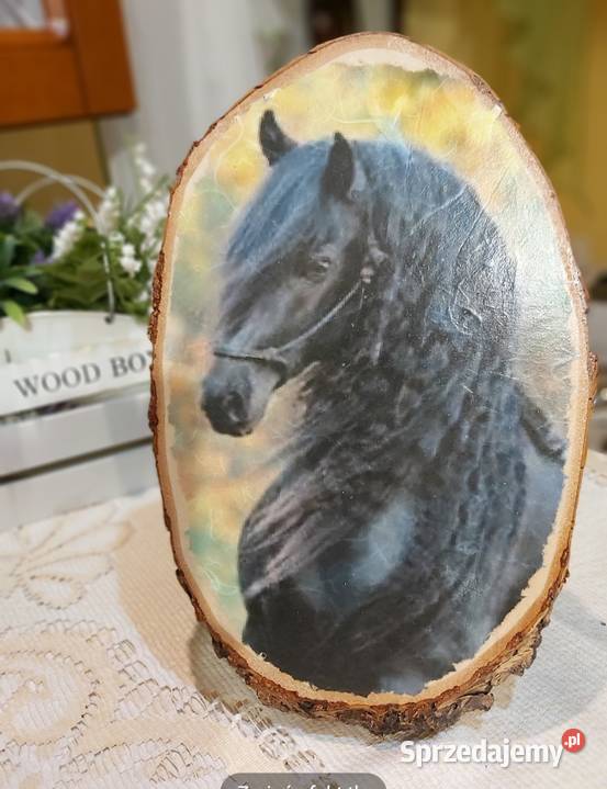 Obrazki miłośników koni Dobrzechów