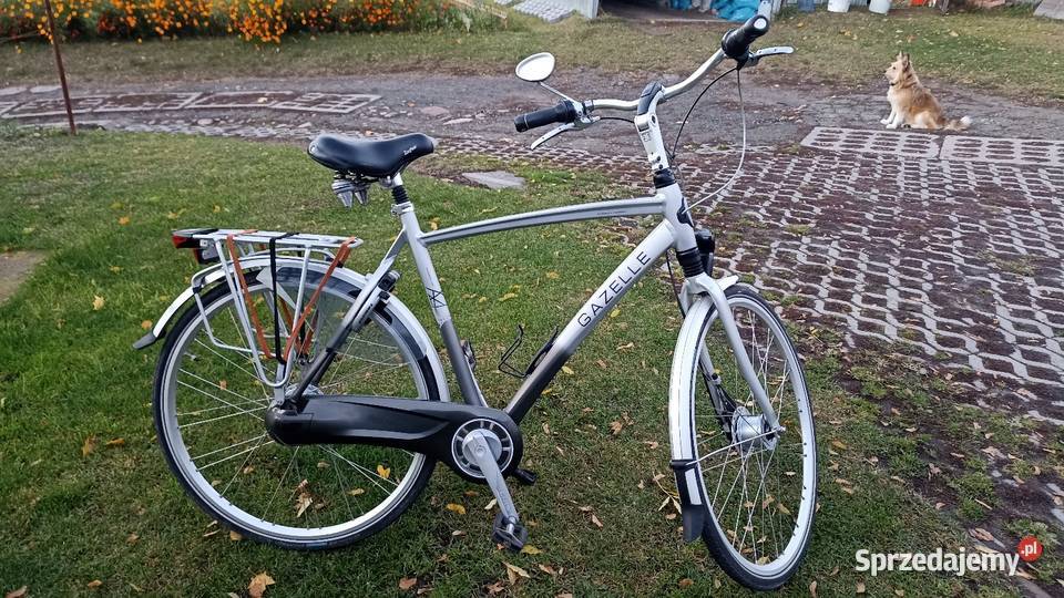 Rower Gazelle Chamonix Comfort wielkopolskie Gniezno