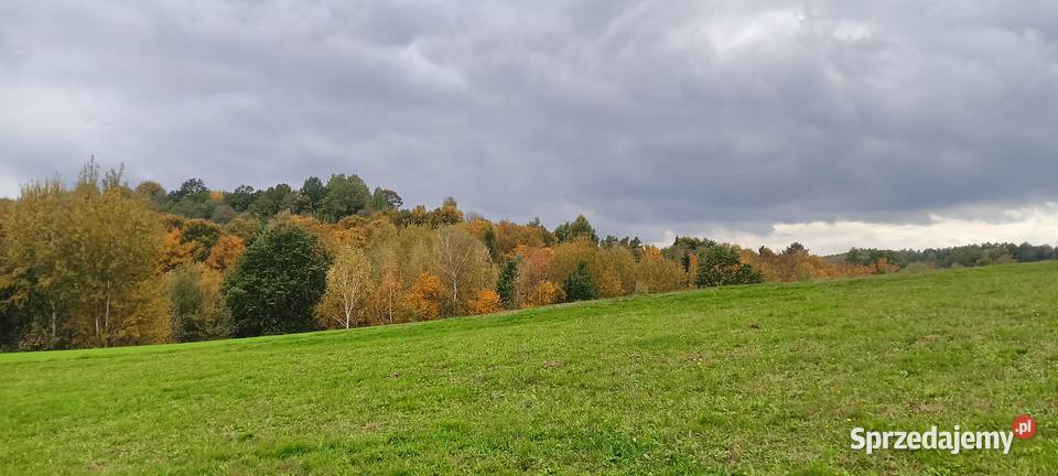 Sprzedam gospodarstwo rolne