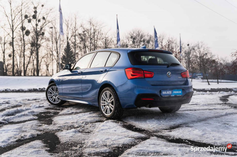 BMW 1 118i poduszka powietrzna Zabrze