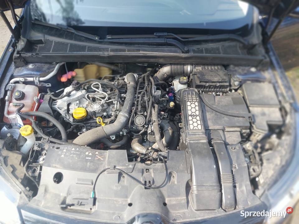 Renault Megane IV światła do jazdy dziennej wielkopolskie Turek