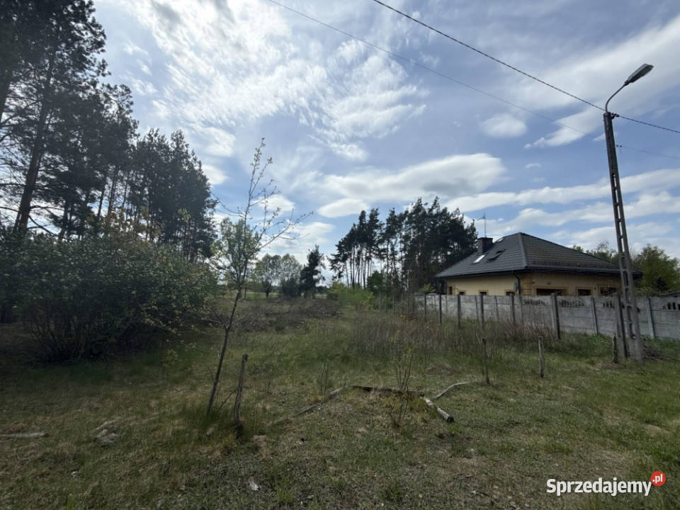 Siedlisko rzeką 50 Warszawy Tłuszcz