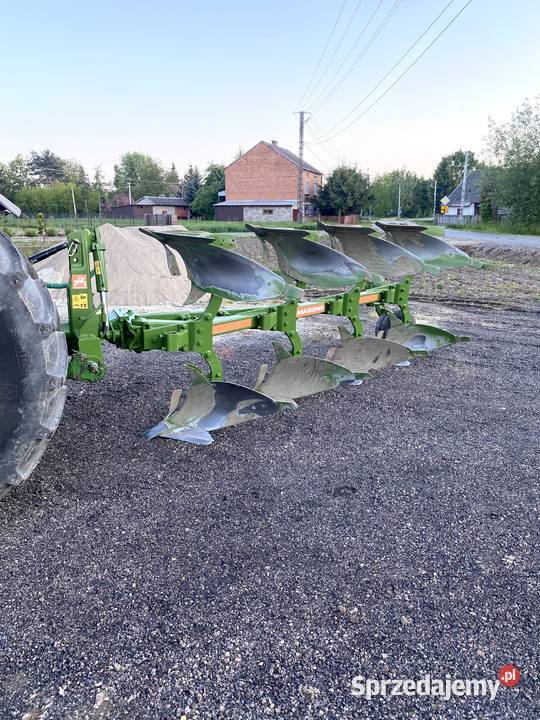 Piękny Amazone cayronXMSBardzoładny stanDużo Mielec