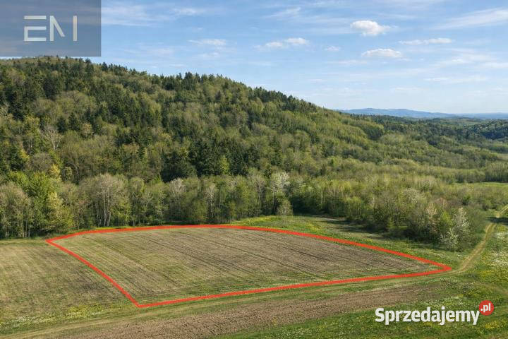 Działka 8800m2 Huta Gogołowska podkarpackie sprzedam