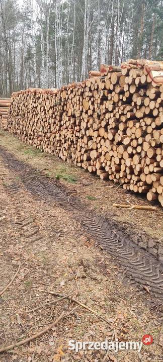 Sprzedam drzewo opałowe i kominkowe Strzałkowo