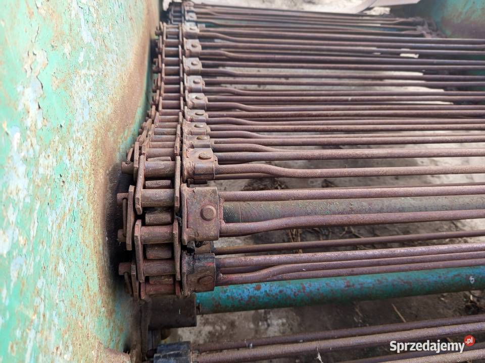 Kopaczka elewatorowa do ziemniaków chrzanu łódzkie Szynkielów