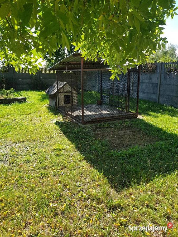 Kojec buda psa Garwolin