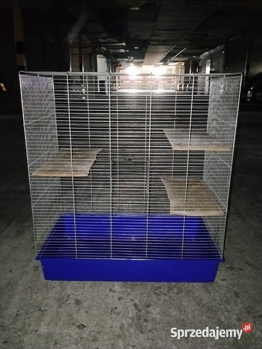 Klatka gryzoni Warszawa