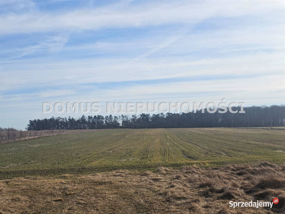 Działka 4500m2 Polik asfalt