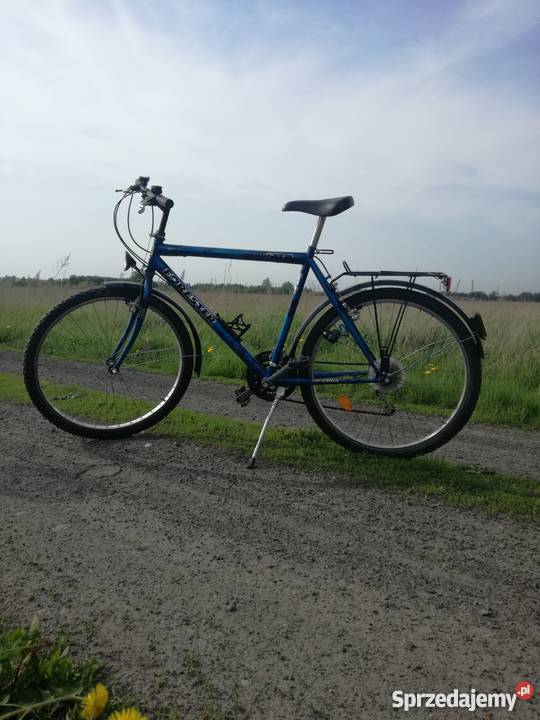 Rower FORESTER 26