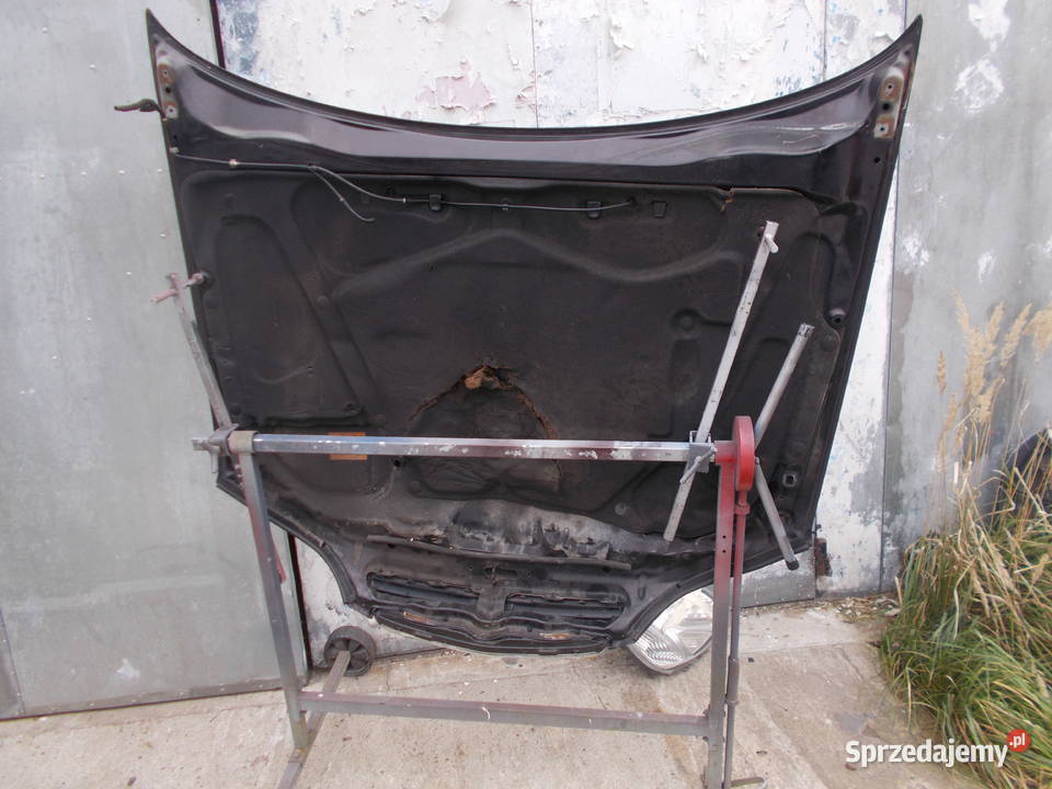 Honda Accord VI maska atrapa grill Wiązowna