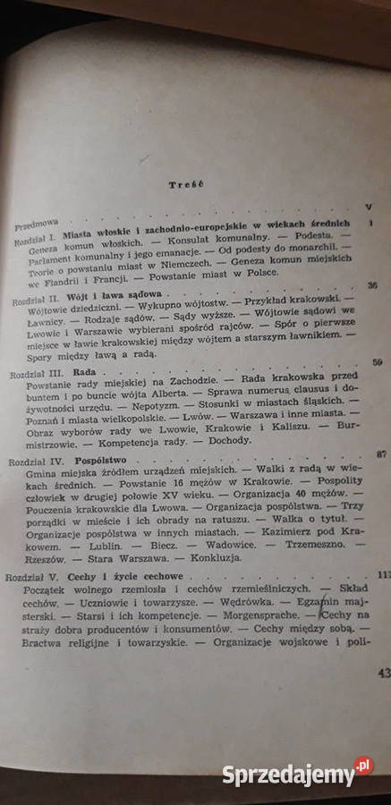 MIASTA I MIESZCZAŃSTWO W DAWNEJ POLSCE J Antykwariat Iwno