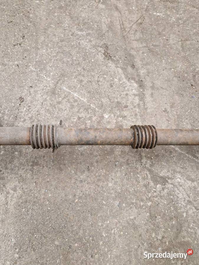 Rożen kij szaszłyk szpikulec grill sztyca Świnoujście