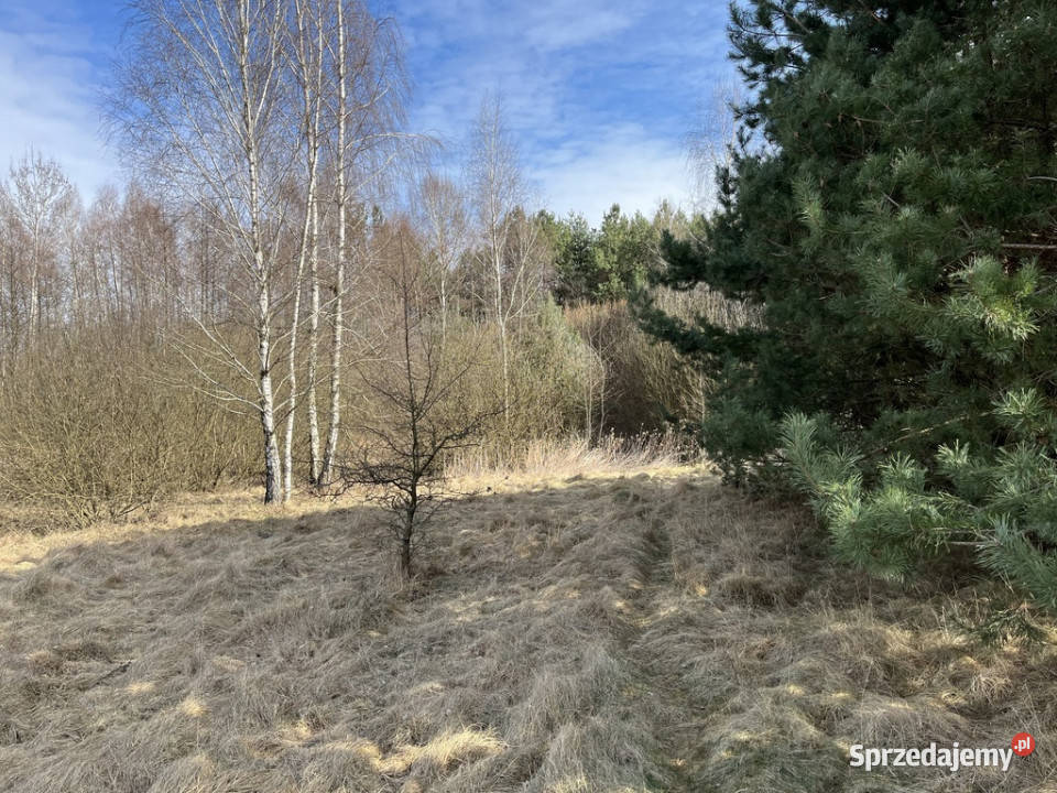 Działka o pow 208 ha w m Kawęczyn gm Ciepielów utwardzona Sprzedaż mazowieckie
