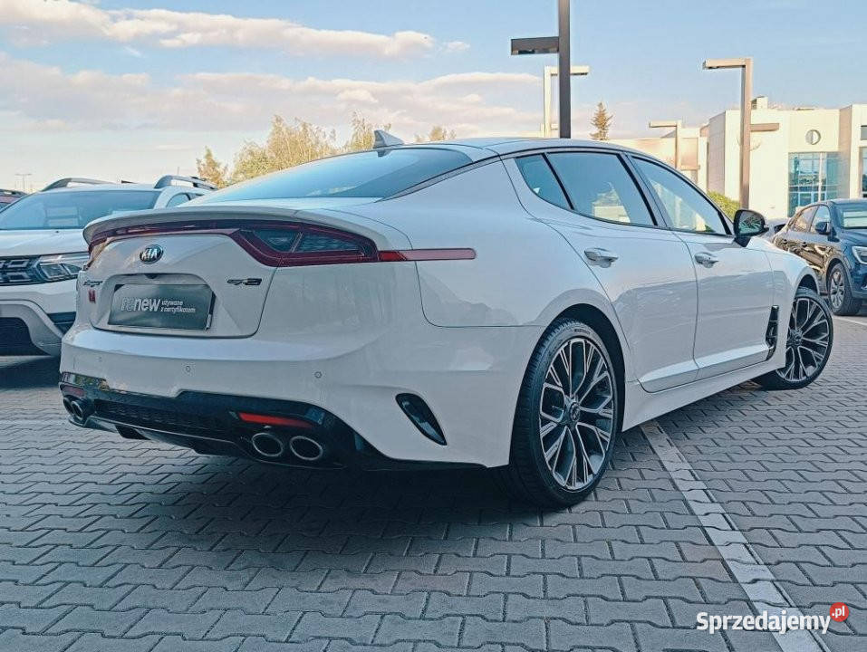 KIA Stinger 2020r Salon Historia ASO Bogata