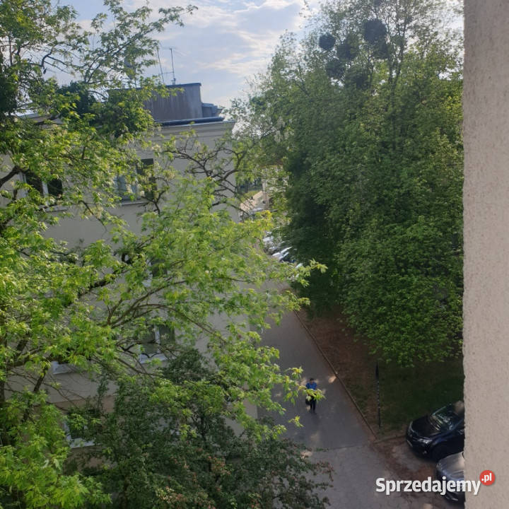 Wynajmę kawelerkę w blokuw centrum obok parku