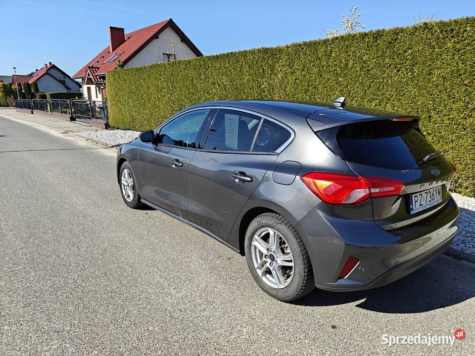 Ford Focus Mk4 10 EcoBoost Trend Edition nieuszkodzony
